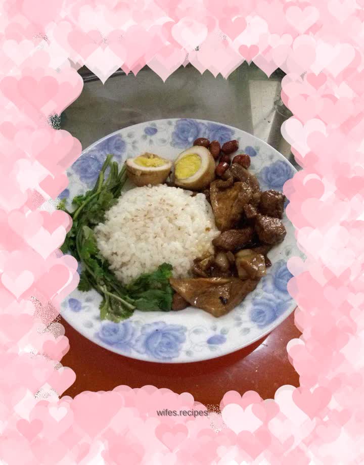 Family version braised pork rice