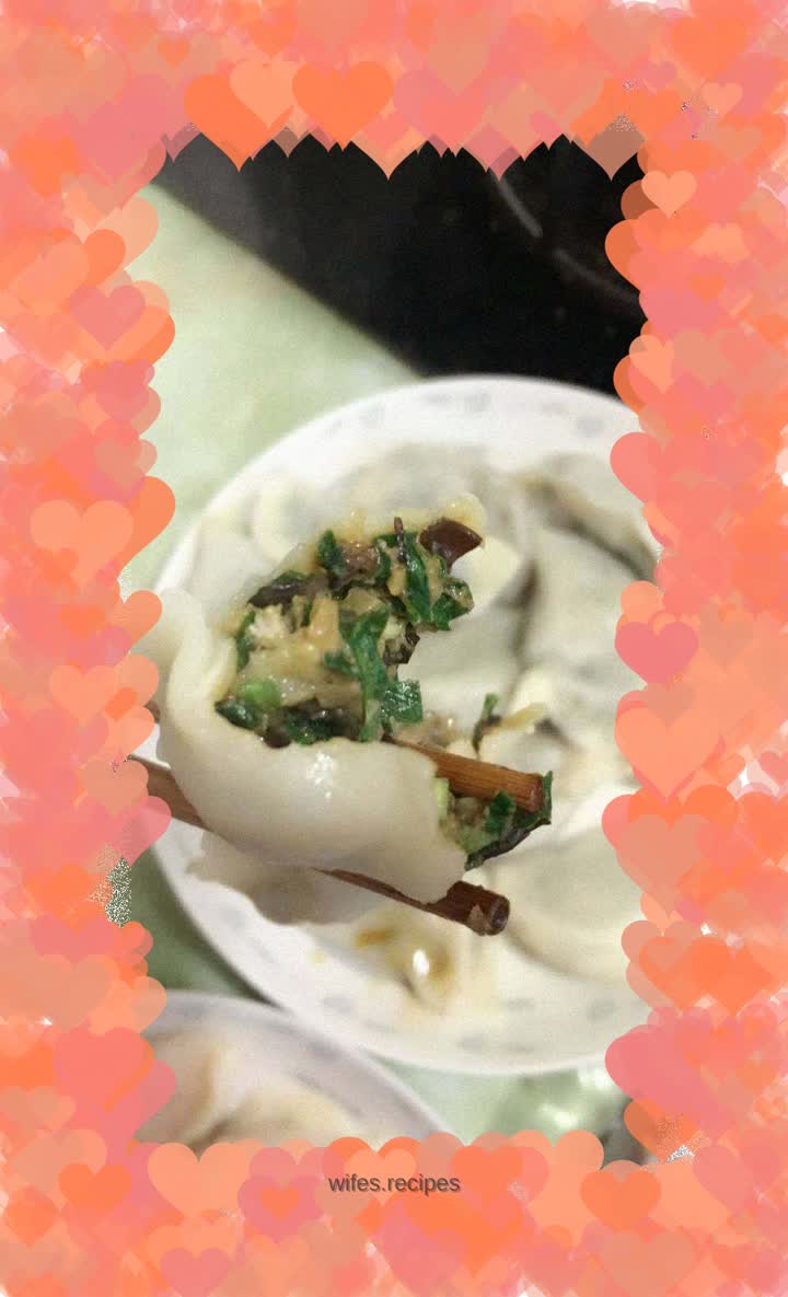 Leek, fungus, mushroom and meat dumplings