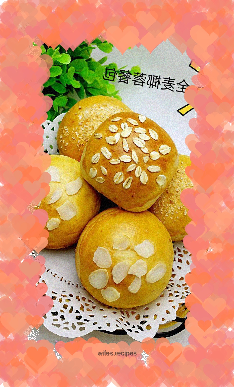 Whole Wheat Coconut Meal Pack