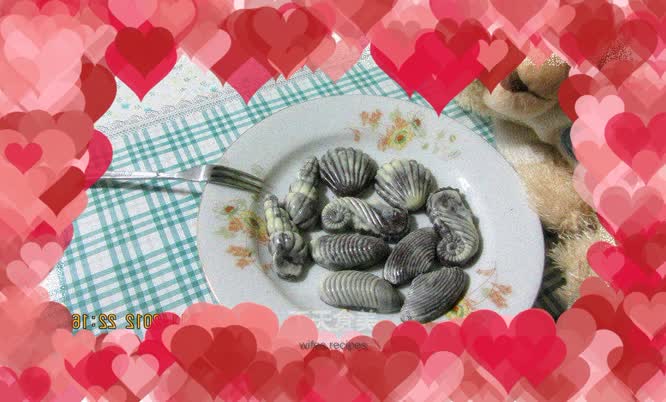 Shell handmade chocolate set