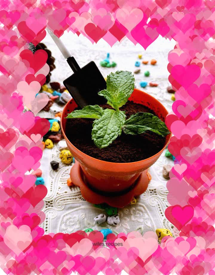 Oreo Cranberry Potted Ice Cream