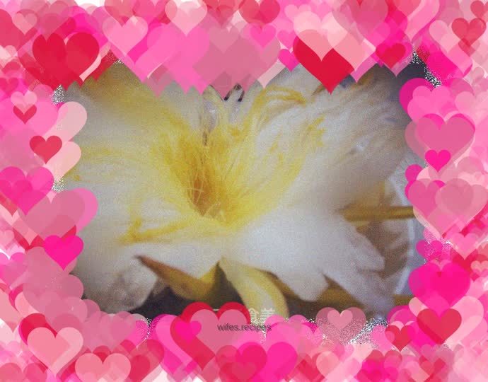 Dragon bone flower soup