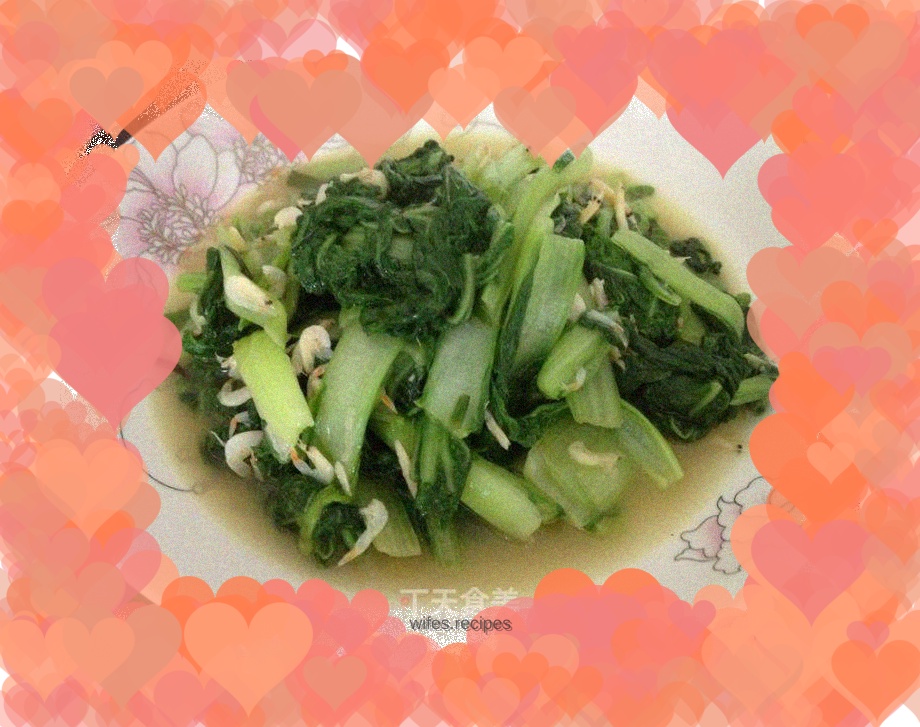 Shrimp and cabbage