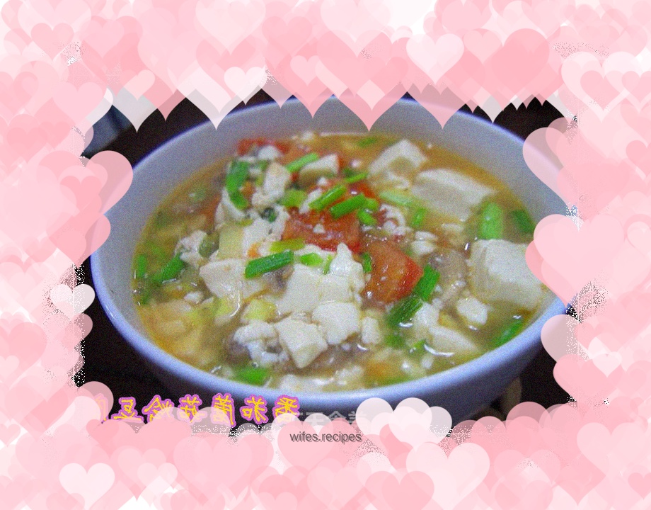 Tomato and Mushroom Braised Tofu