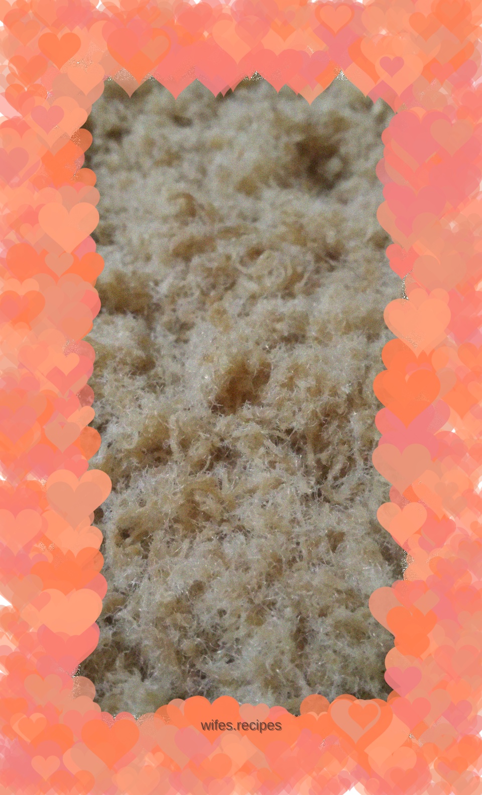 Homemade Pork Floss