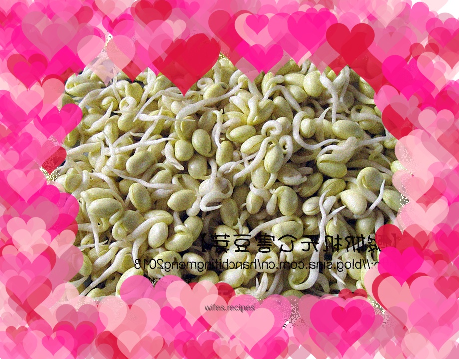 Yogurt machine pollution-free bean sprouts