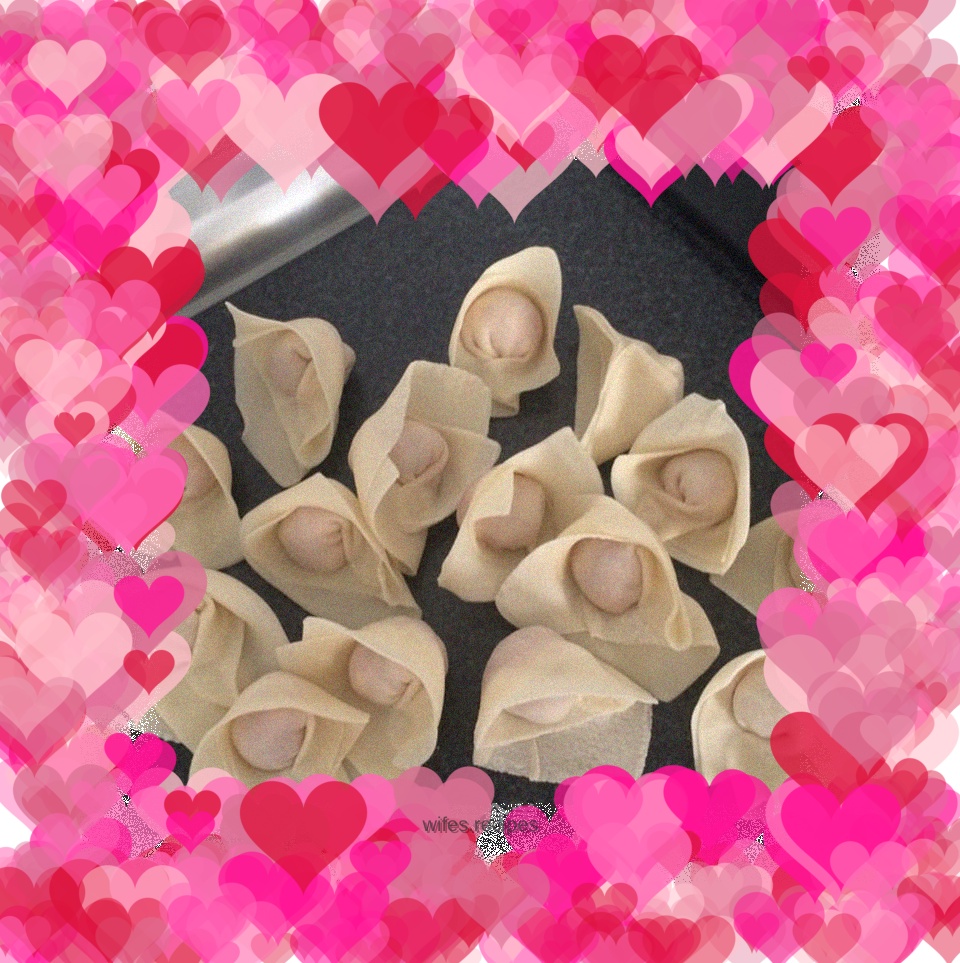 Wontons