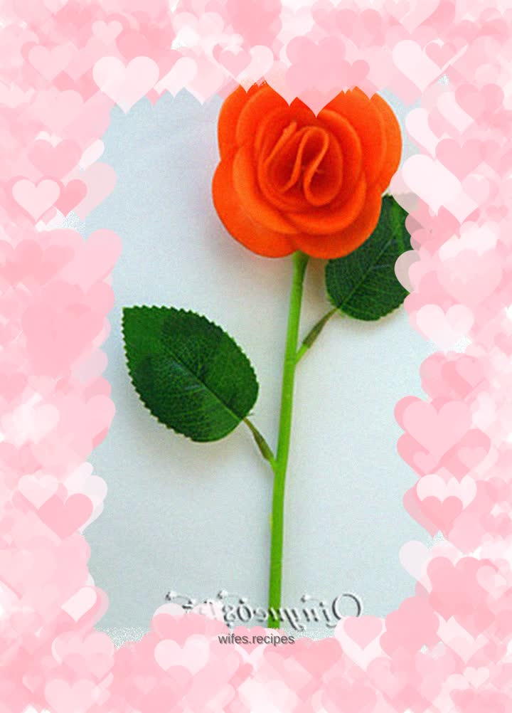 Carrot rose