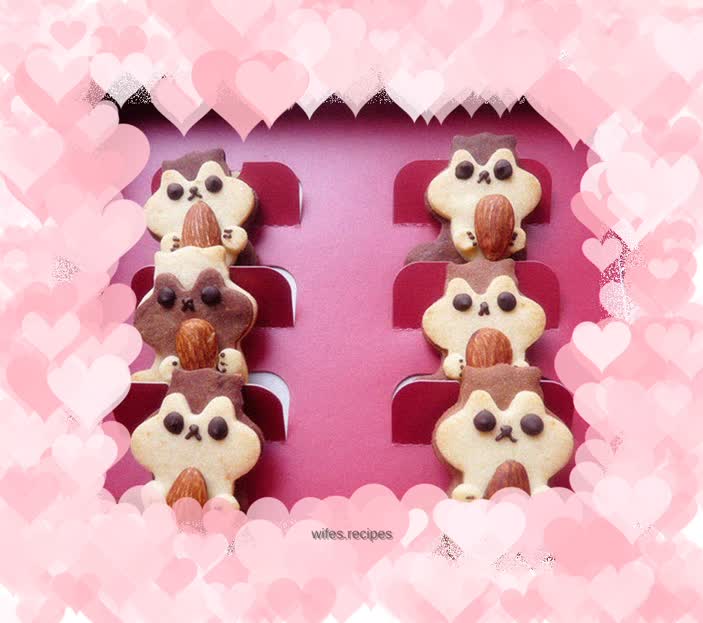 Squirrel cheese almond cookies