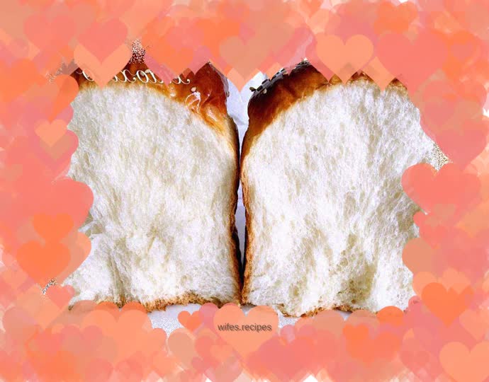 Disposable fermented toast