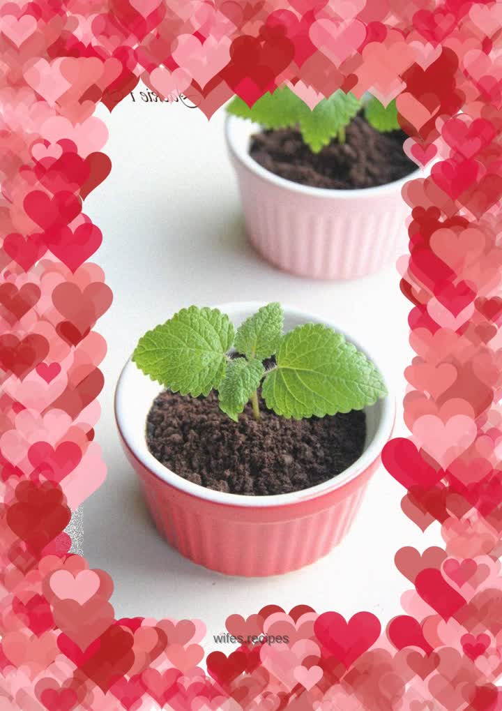 Yogurt potted plant - a small dessert completed in five minutes