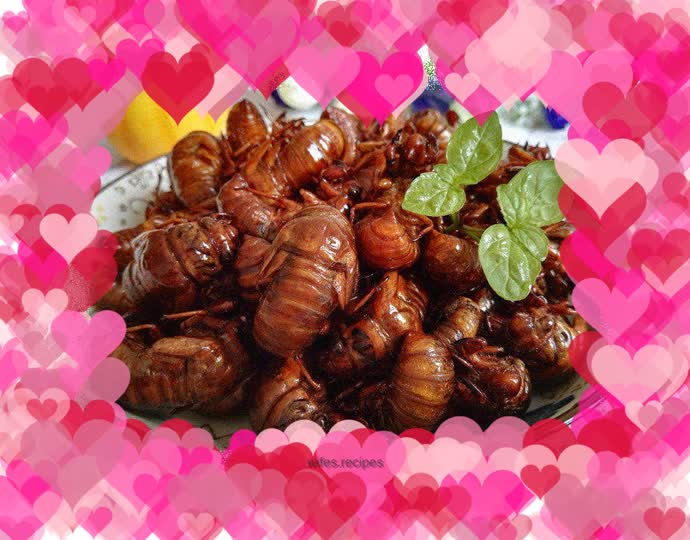 Fried cicadas