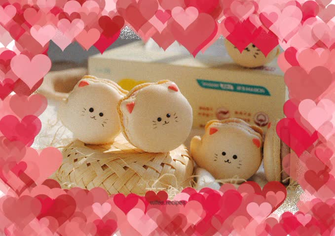Cat Macaron
