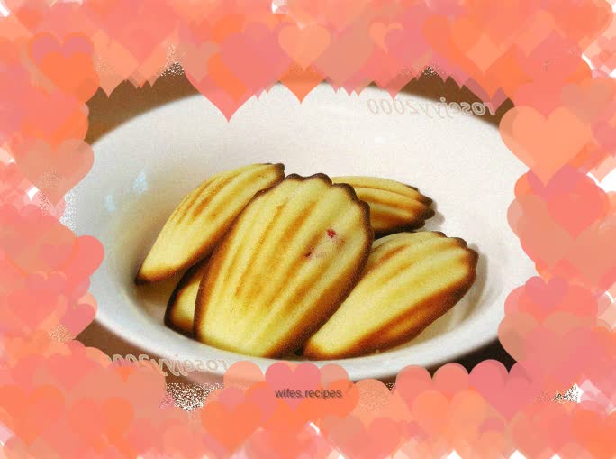 Cranberry Madeleines