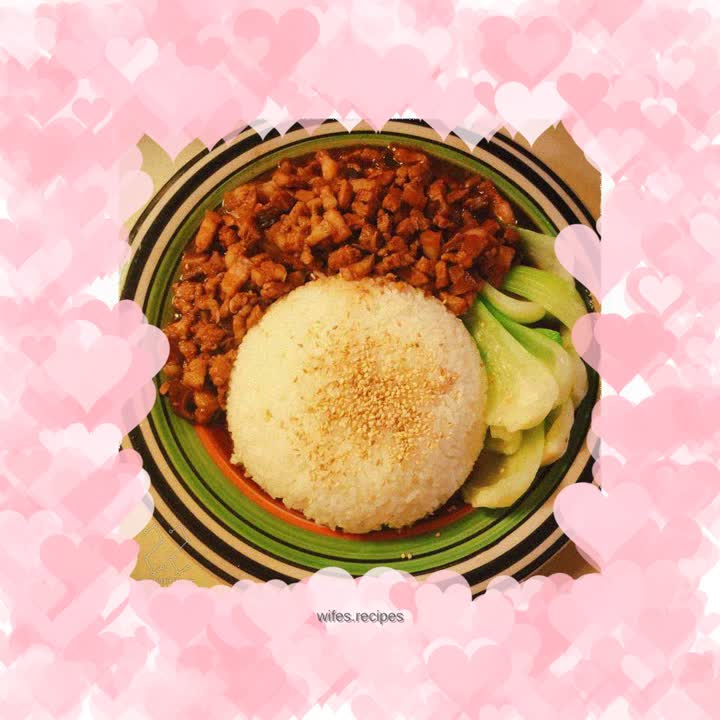 Quick and easy braised pork rice