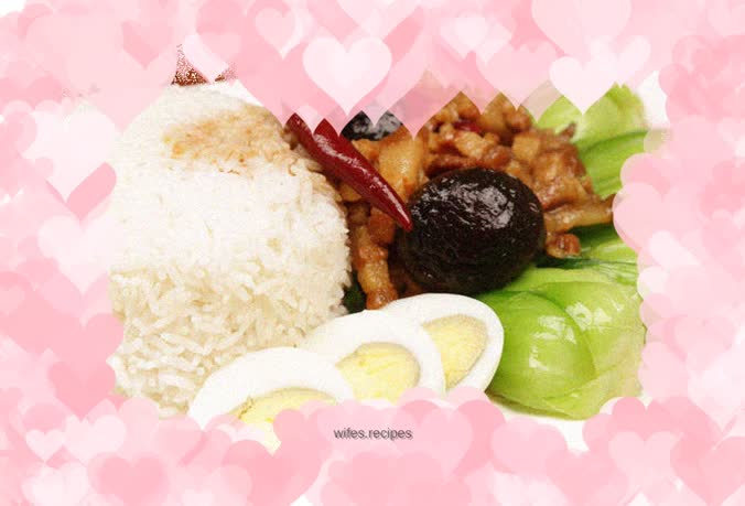 Taiwanese Braised Pork Rice