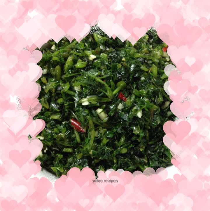 Cold cilantro