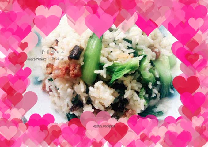 Cantonese Style Braised Rice with Cured Meat